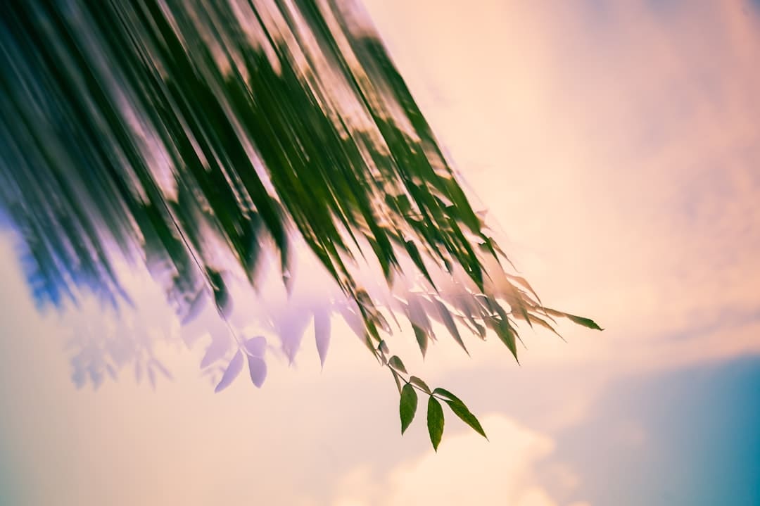 张伦硕由于黄奕女儿说话引热议 称能不能沉着一点